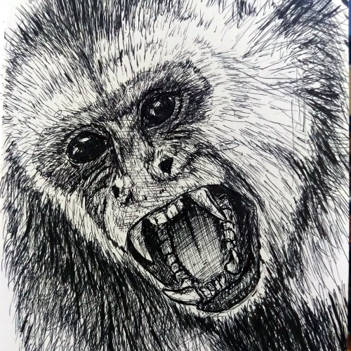 Drawing and Illustration