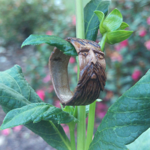 Ornate Works in Wood